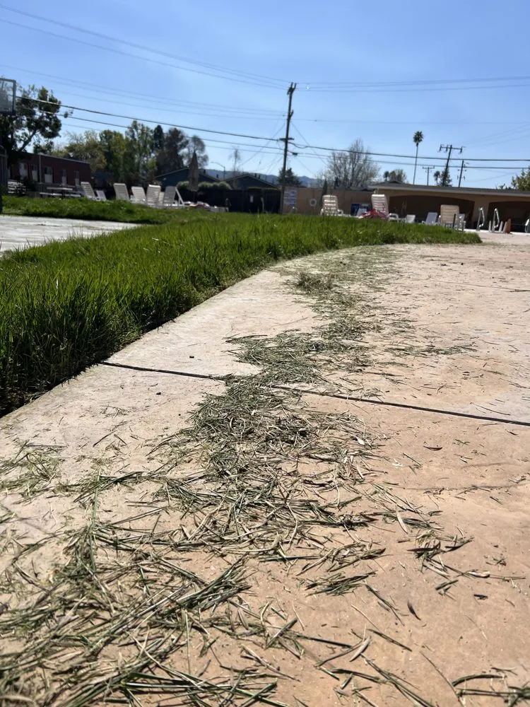 Professional lawn mowing service in Palo Alto, CA by Hummingbird Silicon Valley