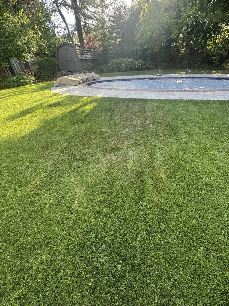 Trusted landscape design in Palo Alto, CA - Hummingbird Silicon Valley