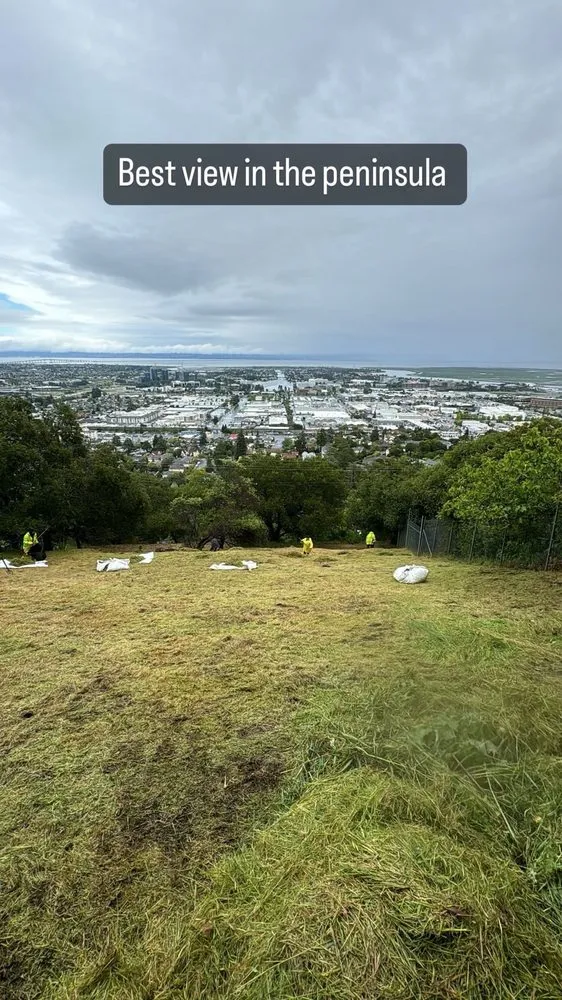 Trusted landscaping services in Palo Alto, CA by Hummingbird Silicon Valley