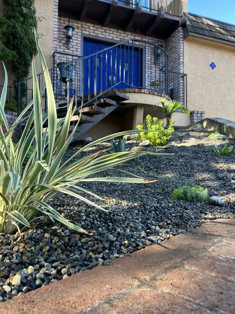 Expert residential landscaping experts serving Palo Alto, CA - Hummingbird Silicon Valley