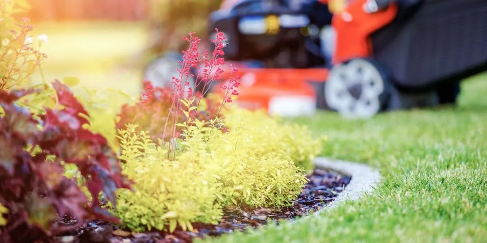 Affordable outdoor landscaping in Palo Alto, CA - Hummingbird Silicon Valley