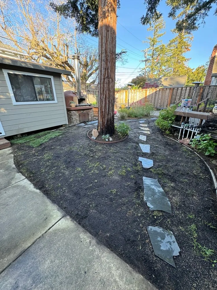 Reliable residential landscaping experts serving Palo Alto, CA - Hummingbird Silicon Valley