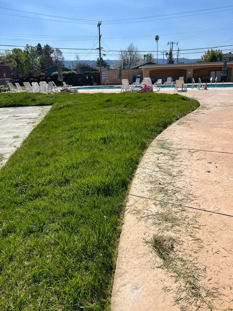 Affordable yard cleanup service in Palo Alto, CA by Hummingbird Silicon Valley