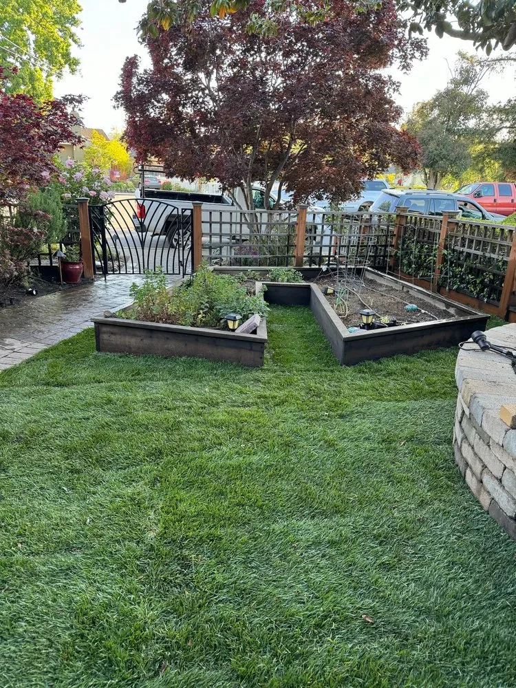 Affordable landscaping services for beautiful yards across Palo Alto, CA - Hummingbird Silicon Valley