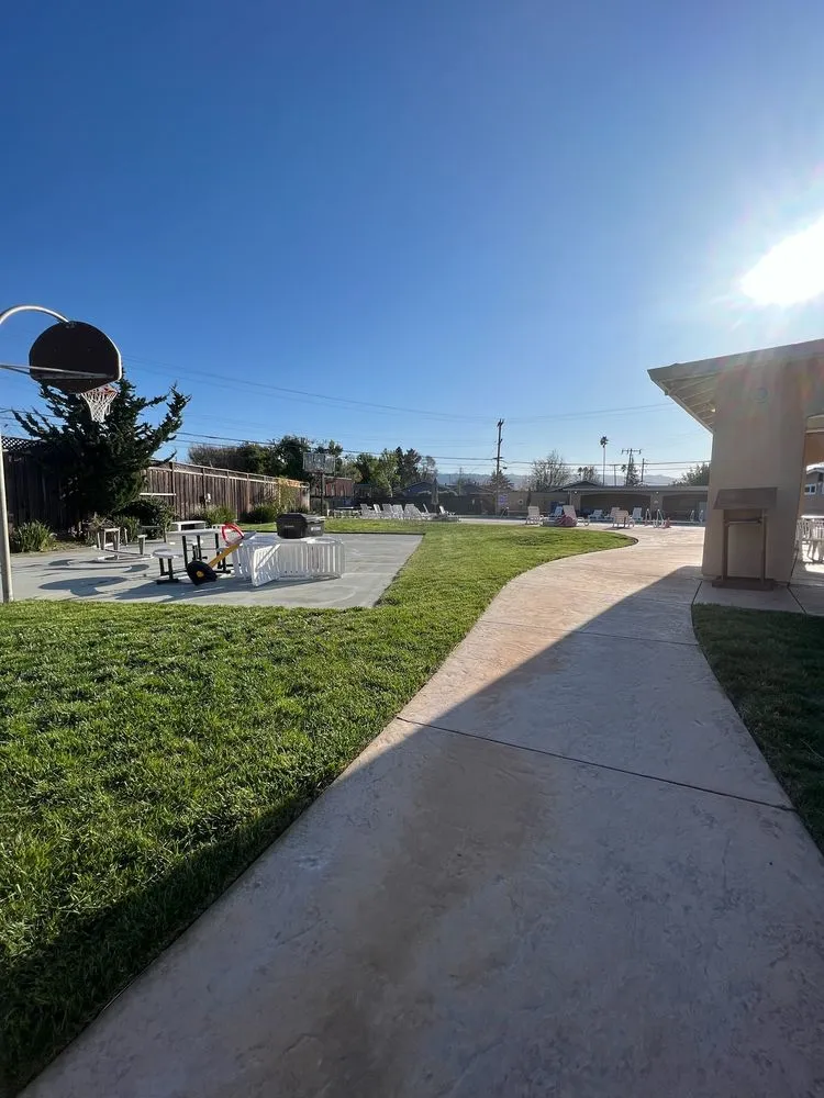 Affordable residential landscaping near you across Palo Alto, CA - Hummingbird Silicon Valley