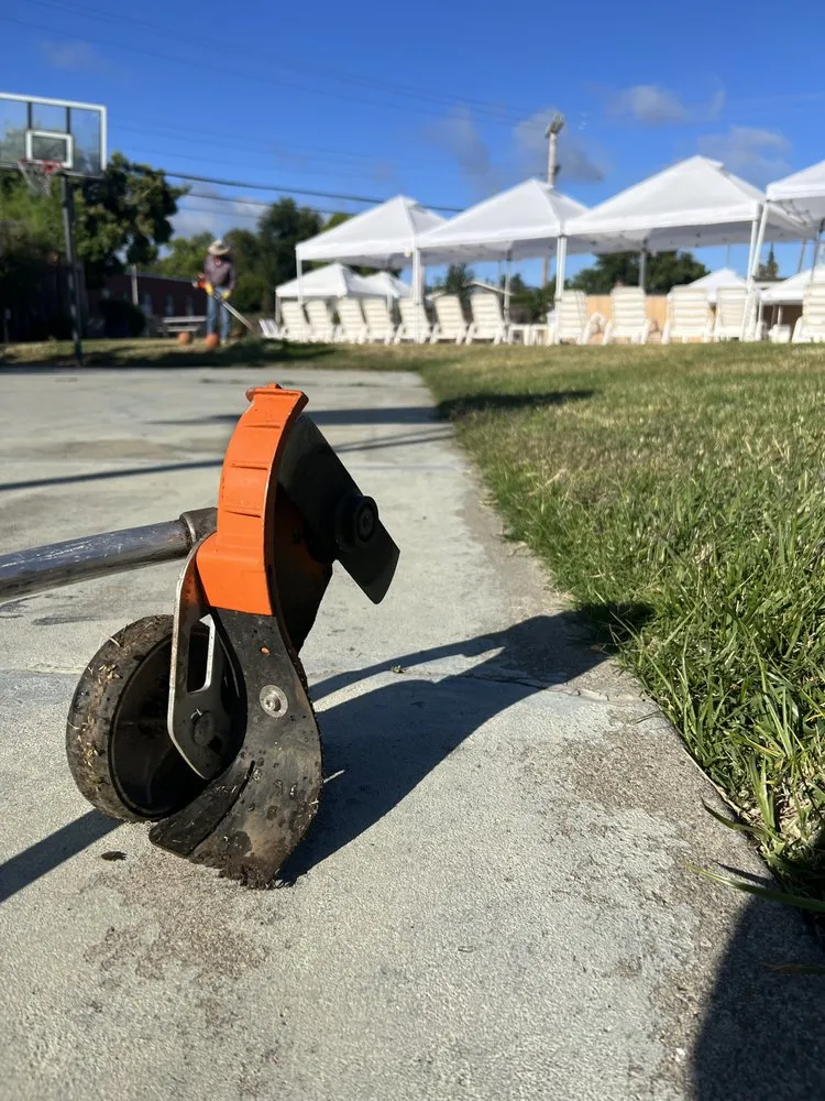 Professional lawn care service in Palo Alto, CA - Hummingbird Silicon Valley