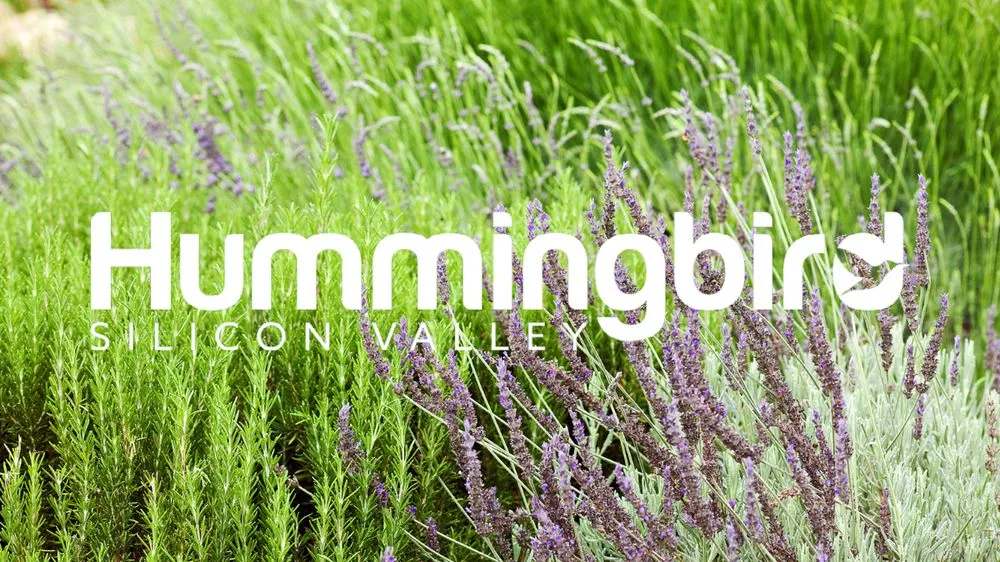 Top-rated landscape design experts serving Palo Alto, CA - Hummingbird Silicon Valley