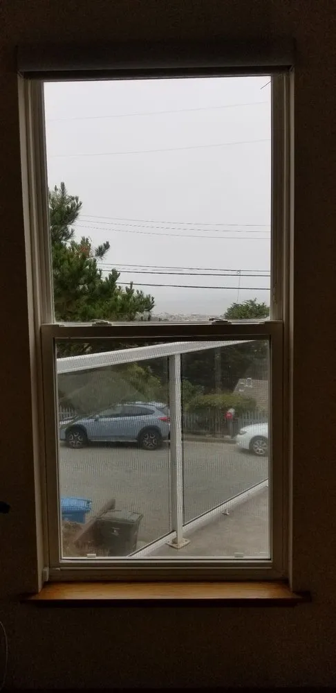 Top-rated outdoor landscaping in San Bruno, CA - Hummingbird Tree Service