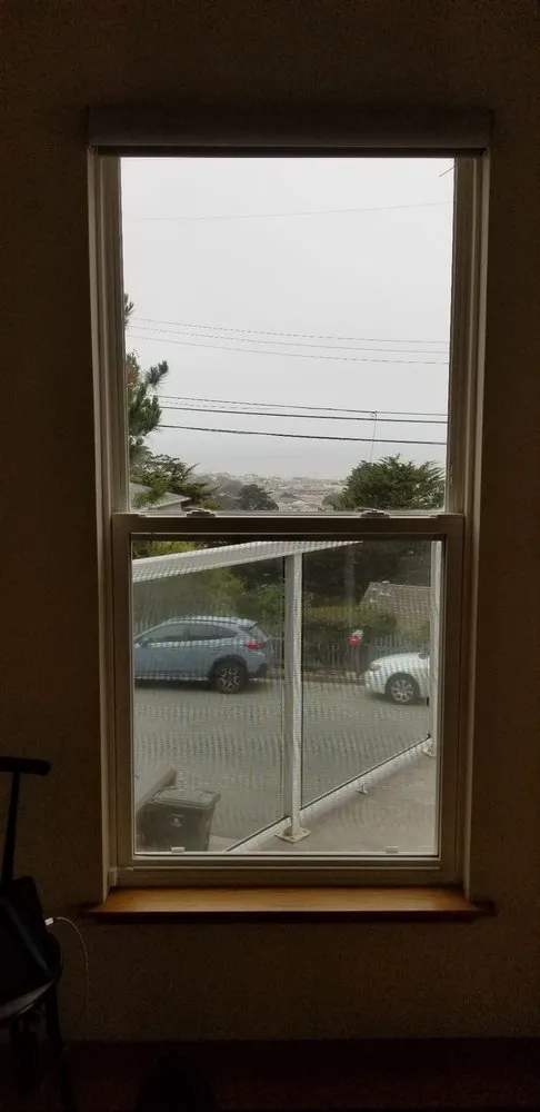 Affordable residential landscaping in San Bruno, CA by Hummingbird Tree Service