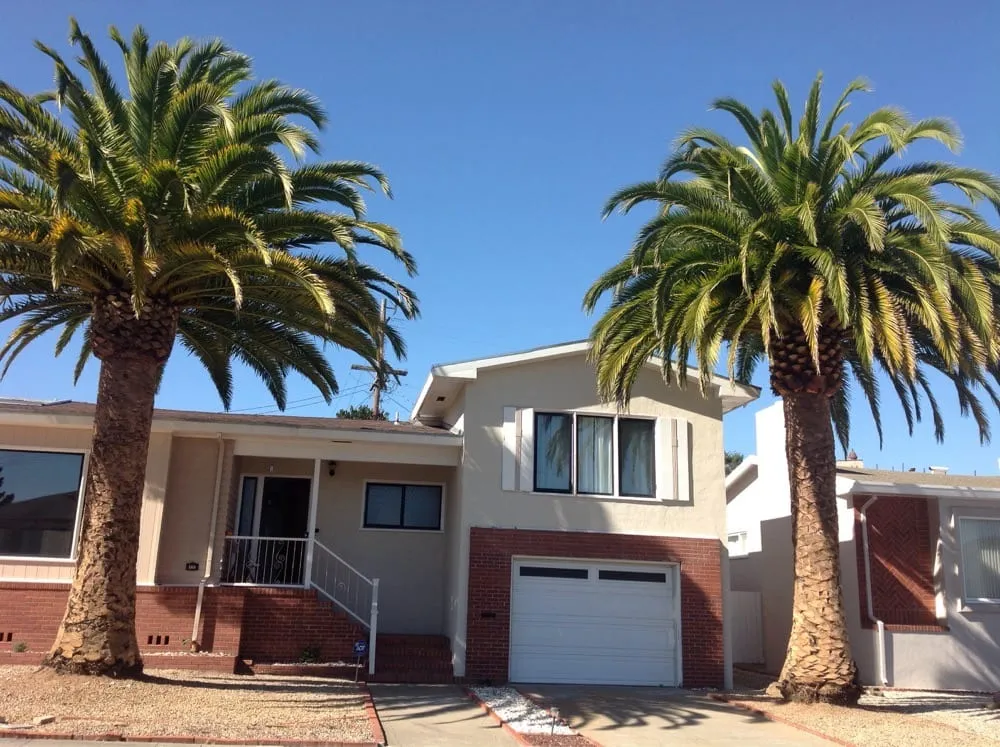 Top-rated residential landscaping with custom design across San Bruno, CA - Hummingbird Tree Service