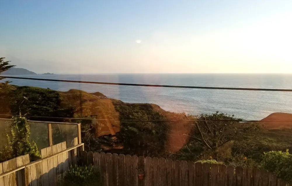 Trusted yard cleanup service experts serving San Bruno, CA - Hummingbird Tree Service