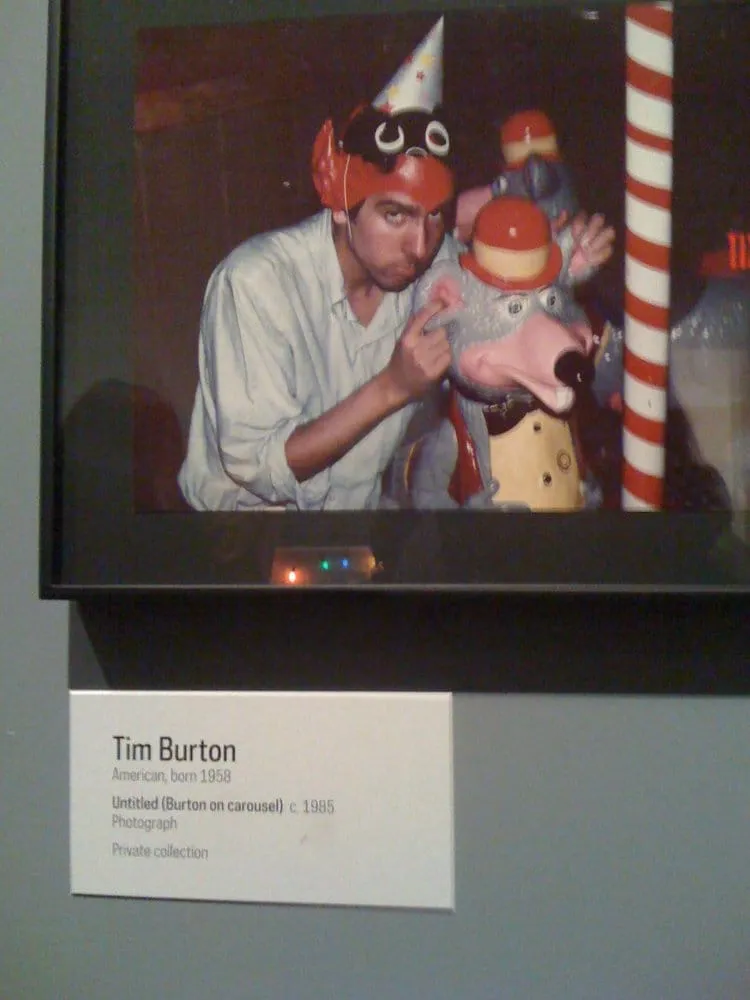 Top-rated outdoor landscaping experts serving San Bruno, CA - Hummingbird Tree Service