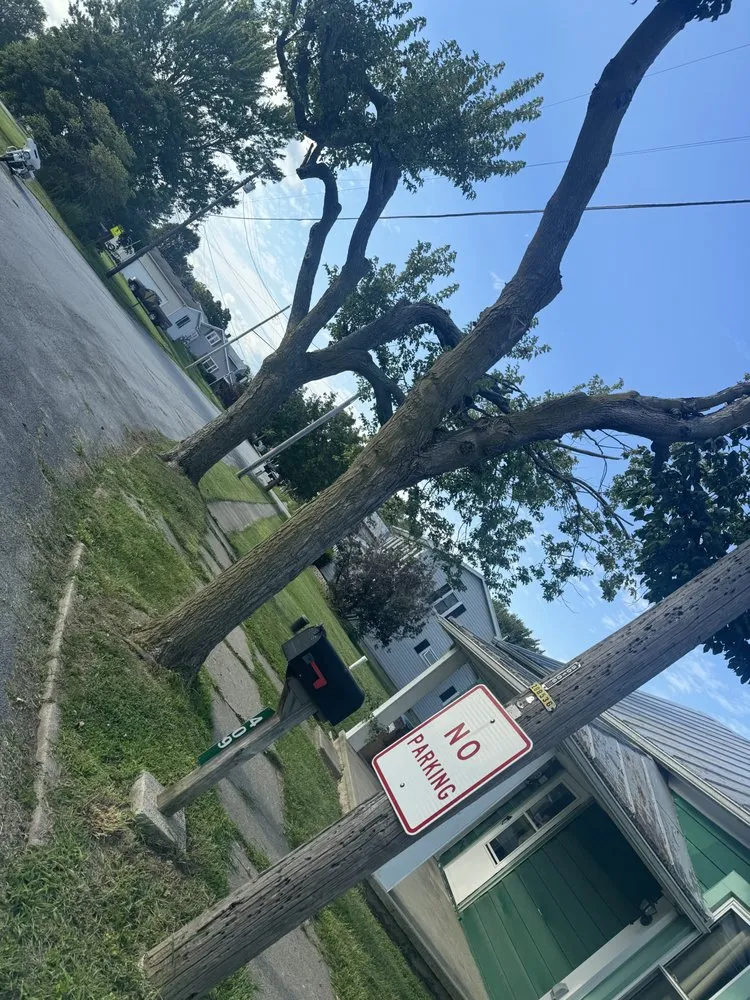 Trusted lawn care service experts serving Brookville, OH - Humphrey Excavation