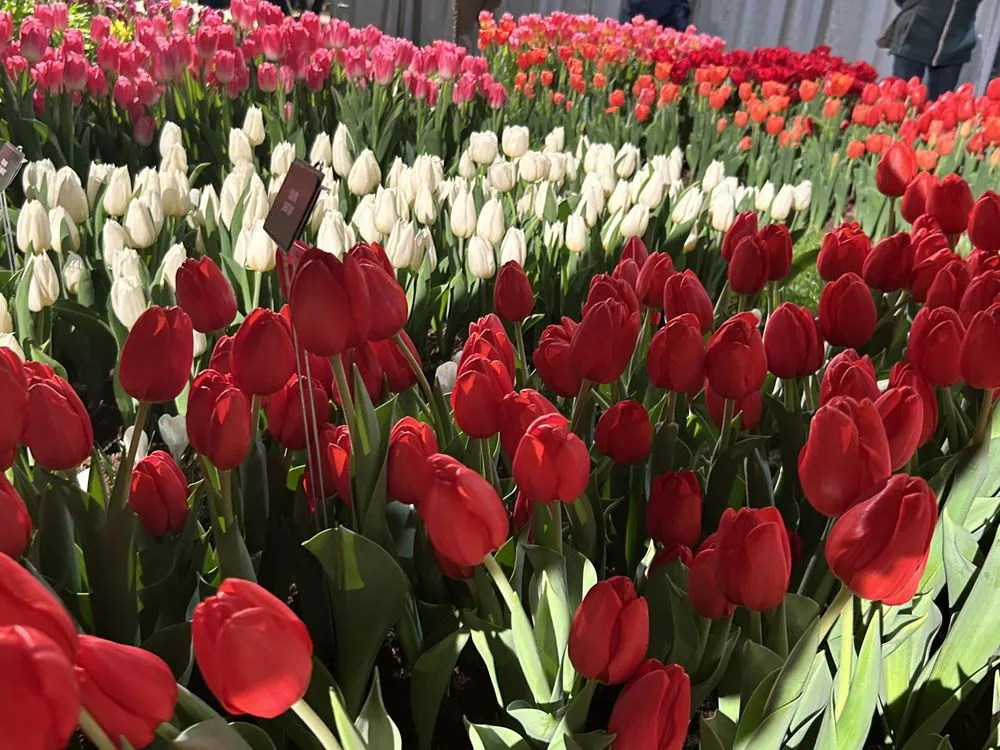 Custom outdoor landscaping experts serving Montague, MA - Humphrey Garden Design and Landscape