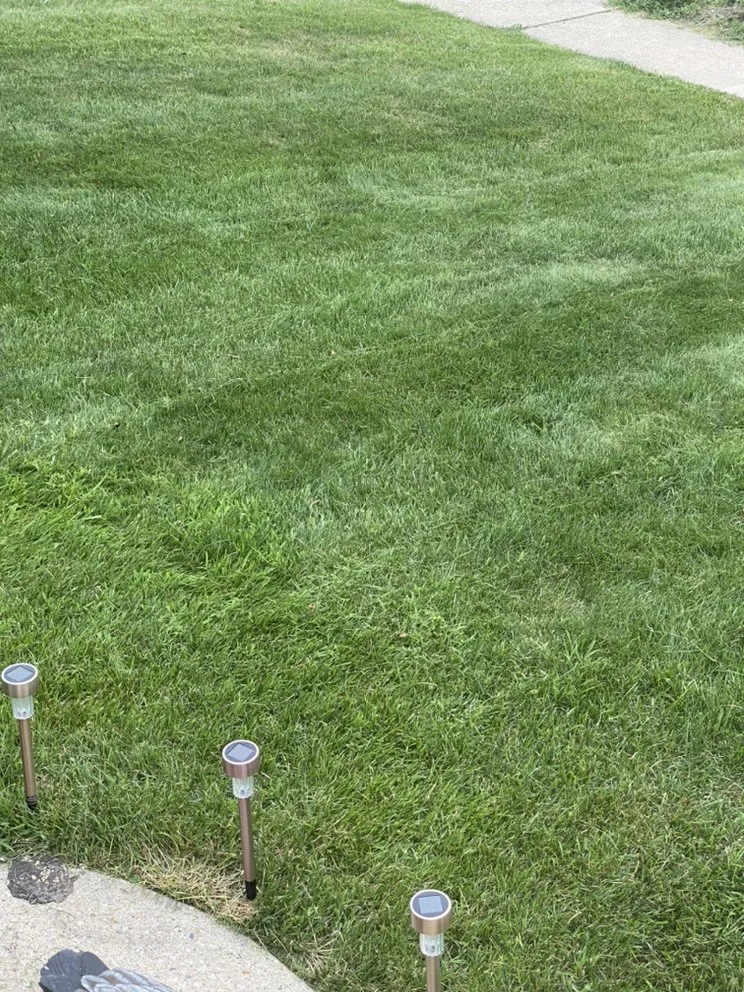 Top-rated landscaping services in Milwaukee, WI - Humphrey’s Lawn & Landscape Services