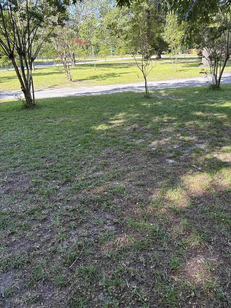 Affordable landscape design in Columbia, SC by Humps Landscaping