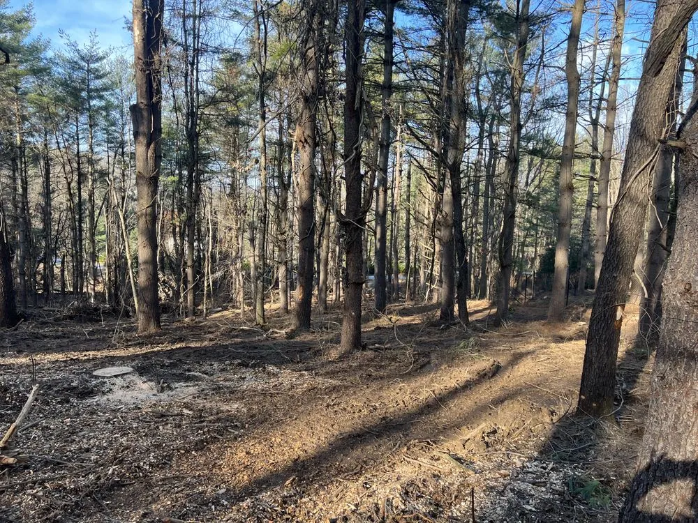 Trusted landscape design in Sparks Glencoe, MD - Hundertmark’s Property Maintenance