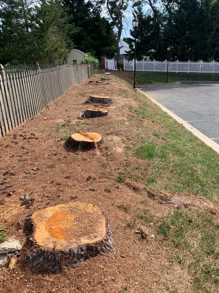 Trusted garden landscaping in Sparks Glencoe, MD by Hundertmark’s Property Maintenance