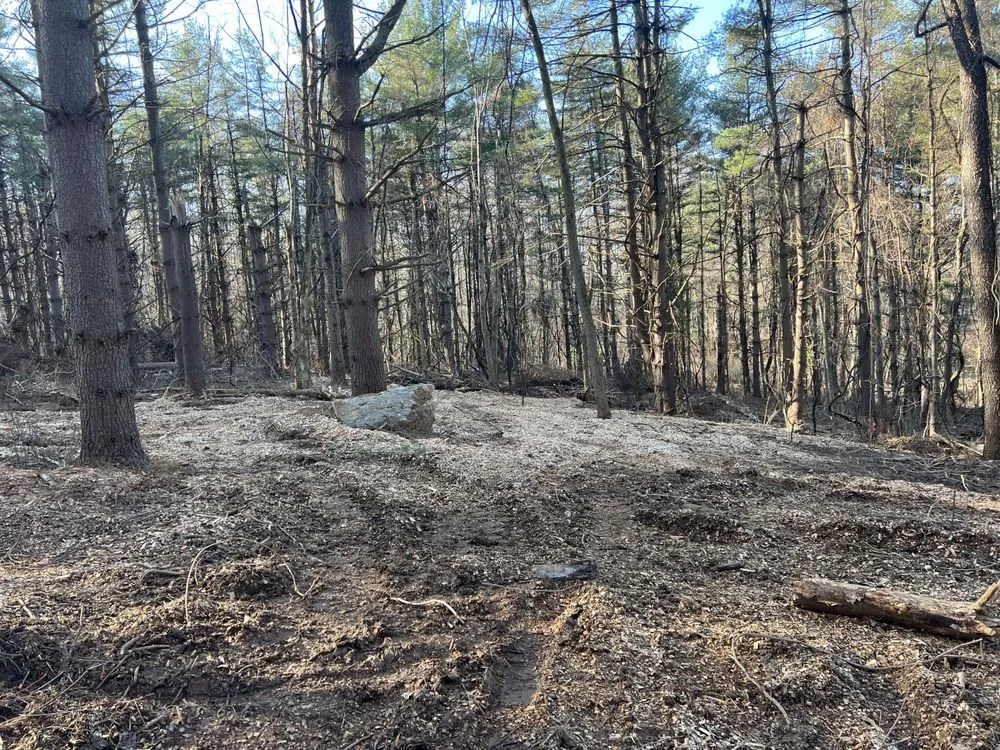 Top-rated residential landscaping for outdoor upgrades across Sparks Glencoe, MD - Hundertmark’s Property Maintenance
