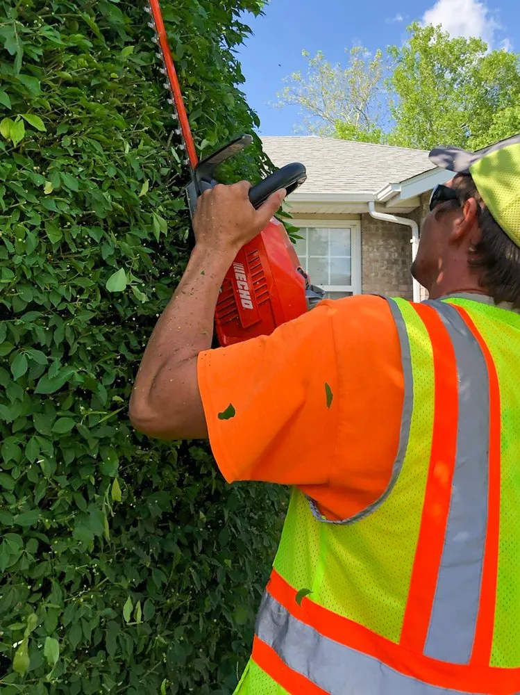 Trusted residential landscaping with custom design in Springfield, MO by Hungry Cow Lawn Care