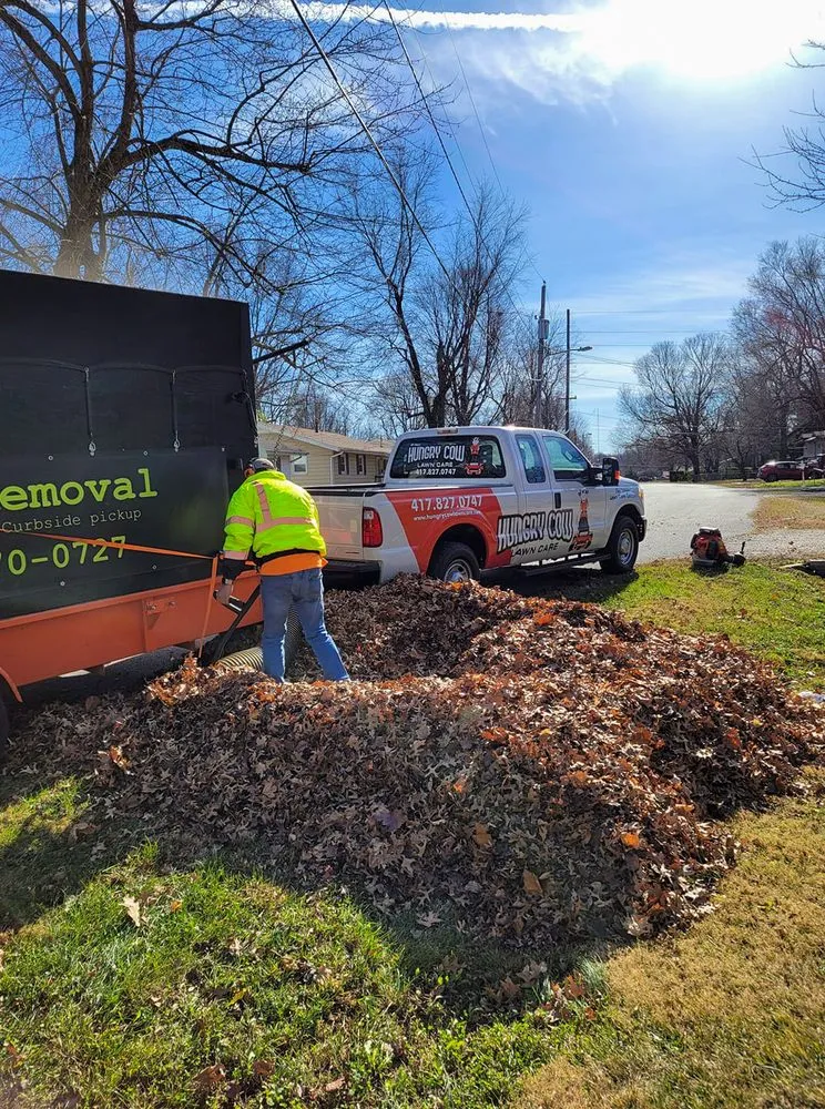 Reliable yard maintenance in Springfield, MO - Hungry Cow Lawn Care