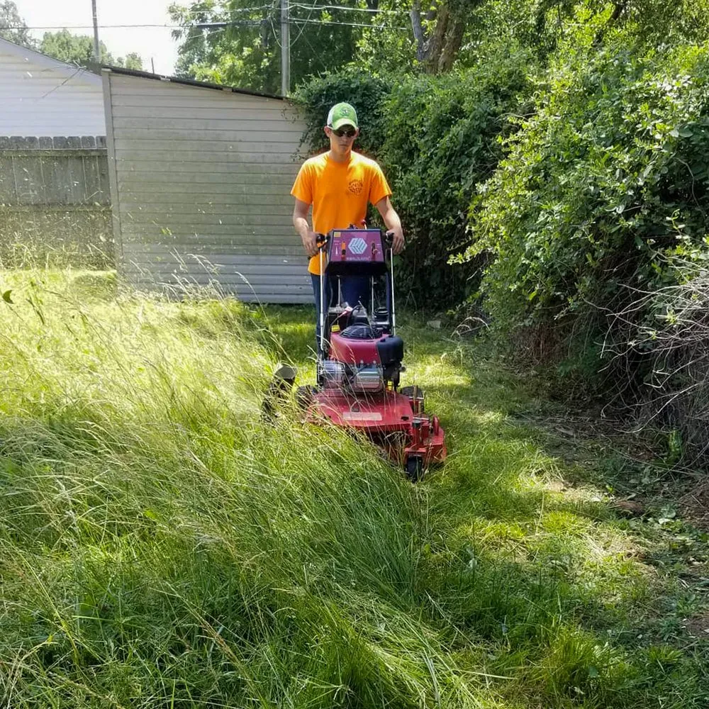 Local garden landscaping in Springfield, MO by Hungry Cow Lawn Care