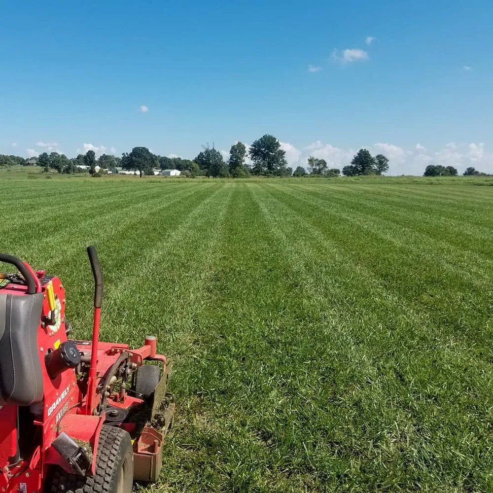 Trusted lawn mowing service experts serving Springfield, MO - Hungry Cow Lawn Care