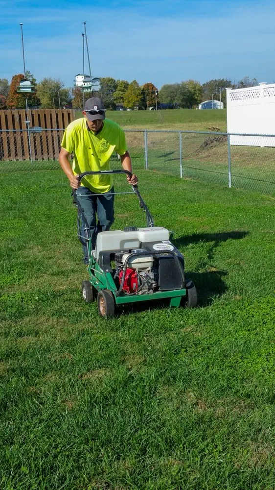 Expert yard maintenance in Springfield, MO - Hungry Cow Lawn Care