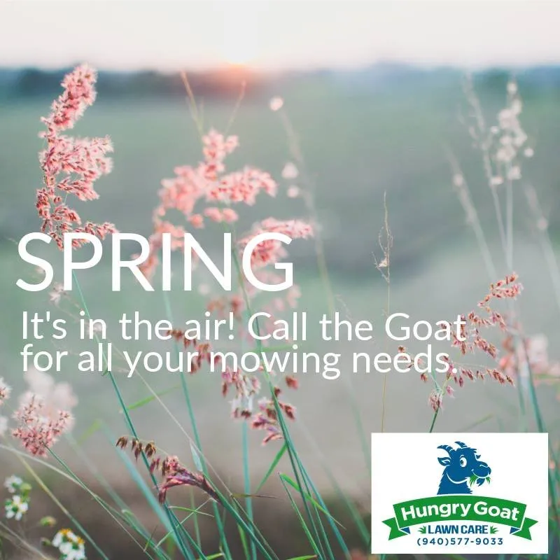 Custom landscape design in Midlothian, TX - Hungry Goat Lawn Care