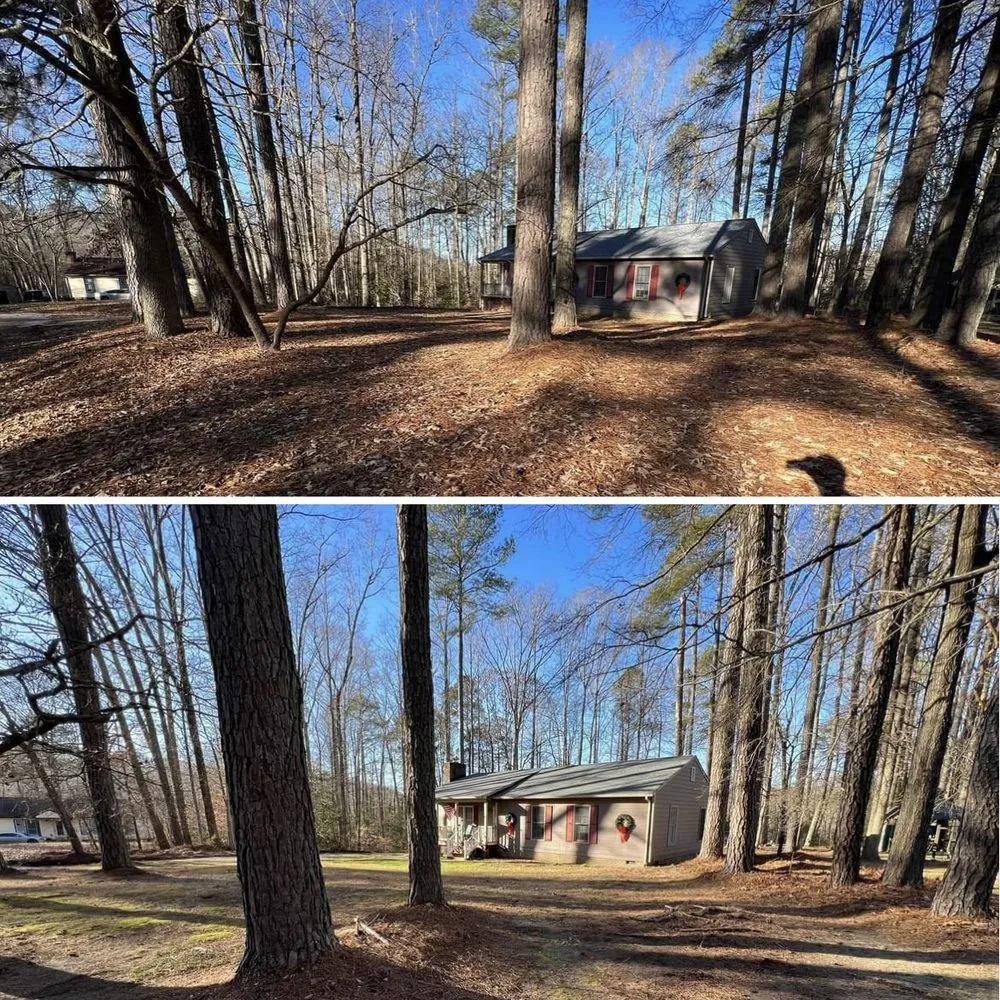 Trusted landscaping services for homes across West Point, VA - Hungry Goat Lawn Pros