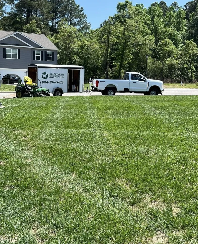 Custom yard cleanup service experts serving West Point, VA - Hungry Goat Lawn Pros
