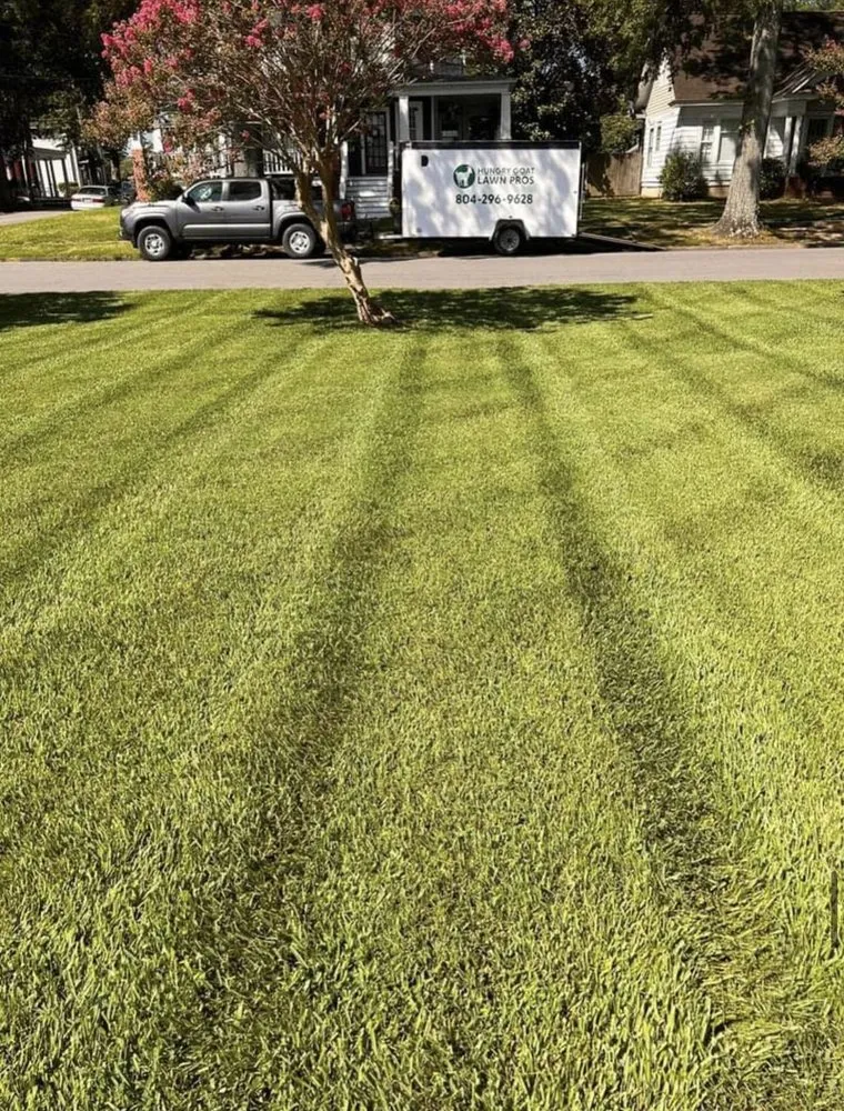 Professional outdoor landscaping in West Point, VA by Hungry Goat Lawn Pros