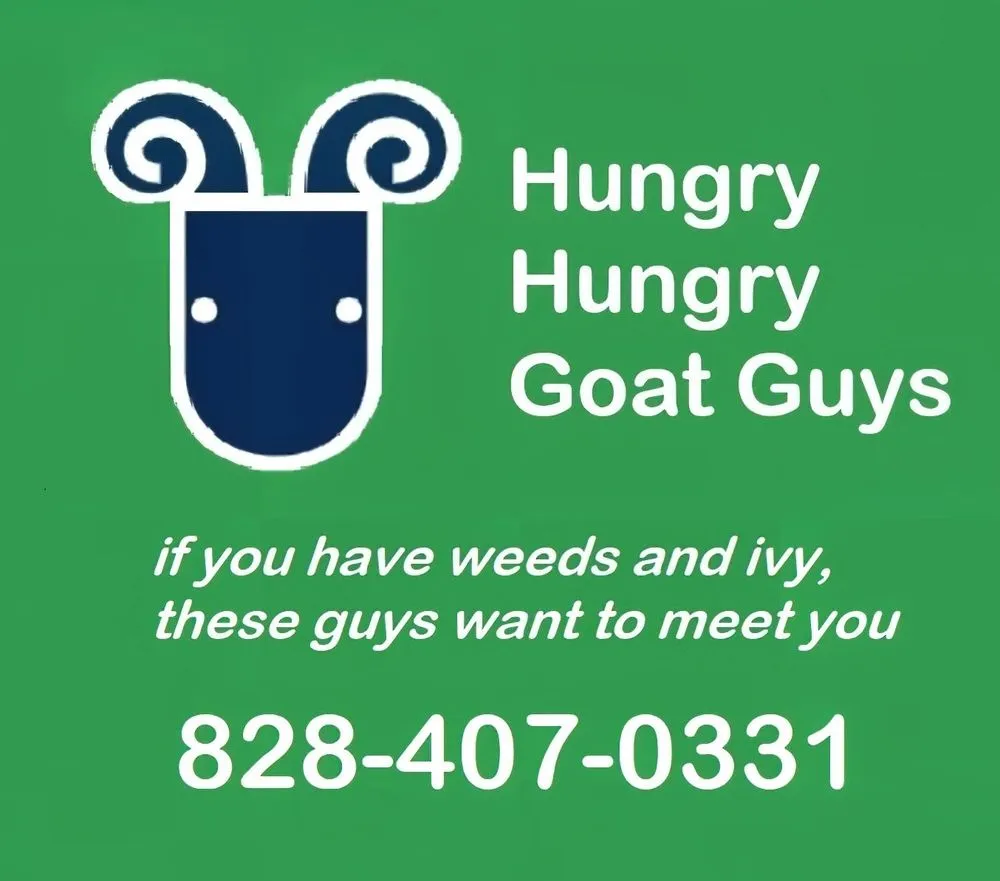 Top-rated residential landscaping in Asheville, NC - Hungry Hungry Goat Guys