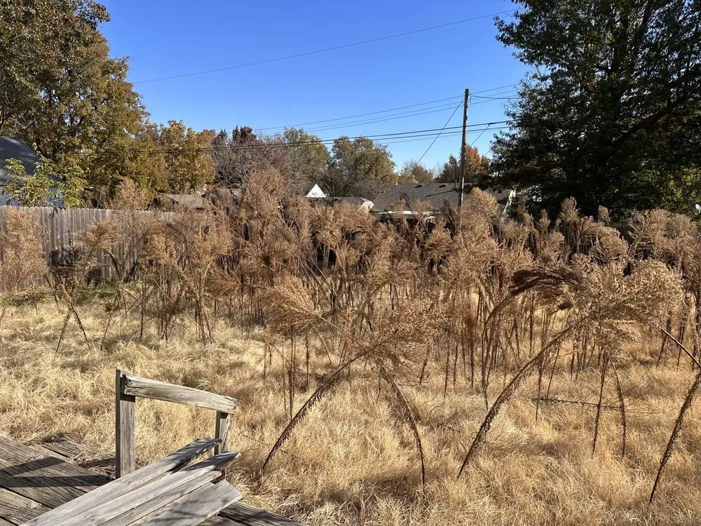 Reliable landscape installation experts serving Tulsa, OK - Hunny Bee Lawn Care