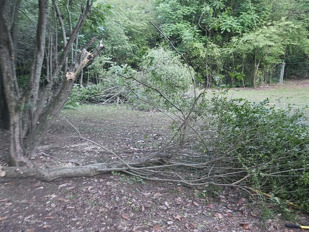 Reliable residential landscaping for year-round maintenance in Chickamauga, GA by Hunnydo