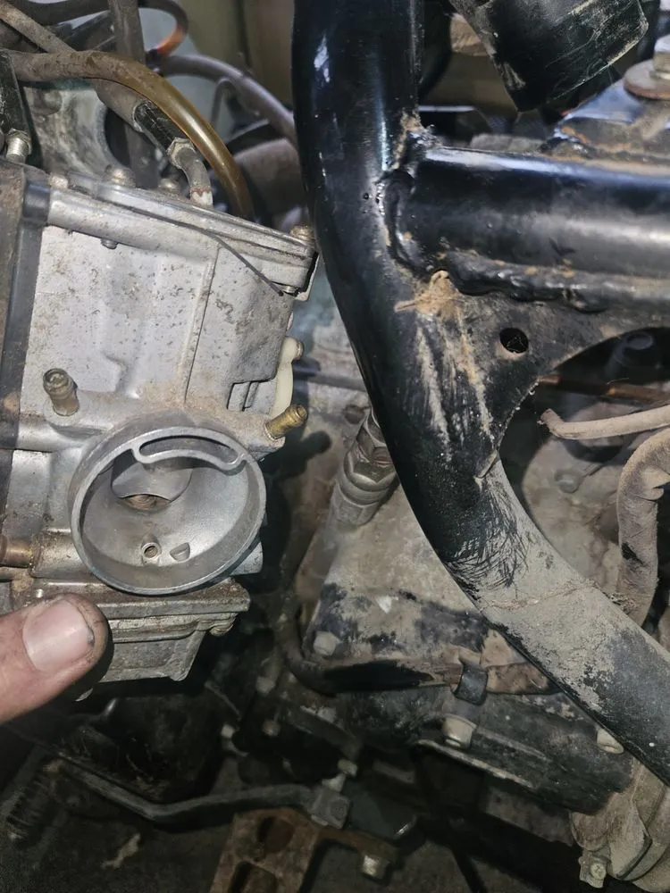 Custom yard maintenance experts serving Chickamauga, GA - Hunnydo