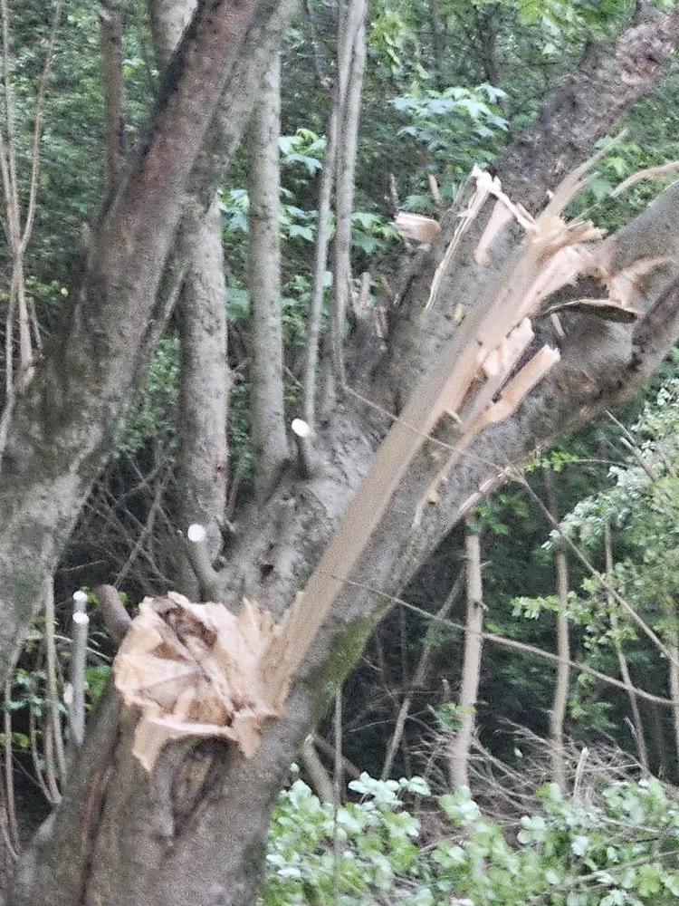 Reliable yard maintenance experts serving Chickamauga, GA - Hunnydo