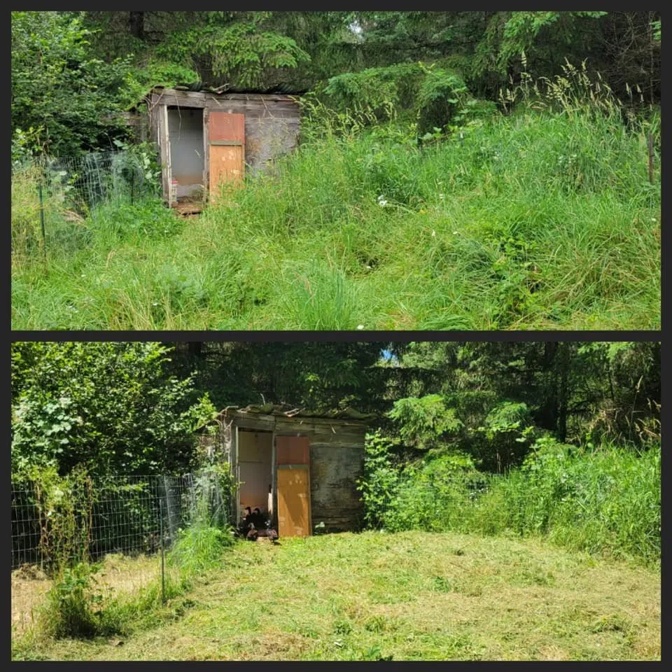 Custom lawn mowing service for residential properties across Veneta, OR - Hunsaker Services