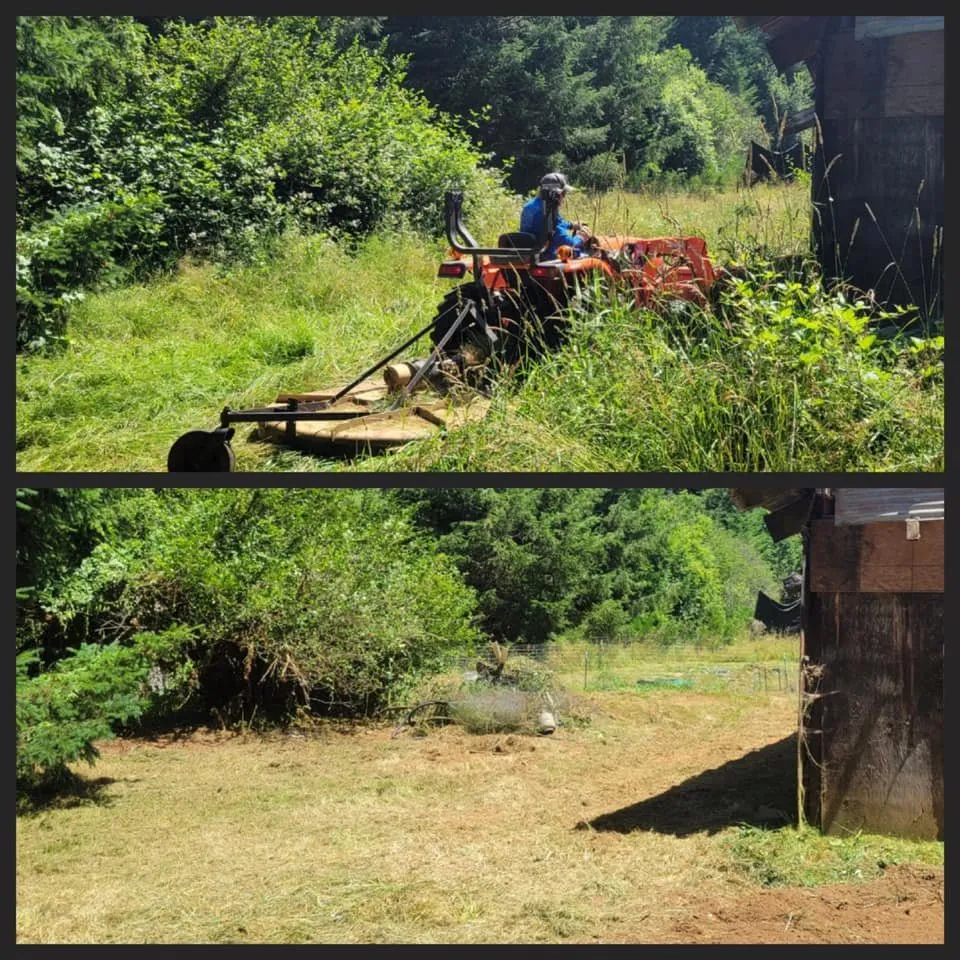 Local outdoor landscaping for year-round maintenance across Veneta, OR - Hunsaker Services