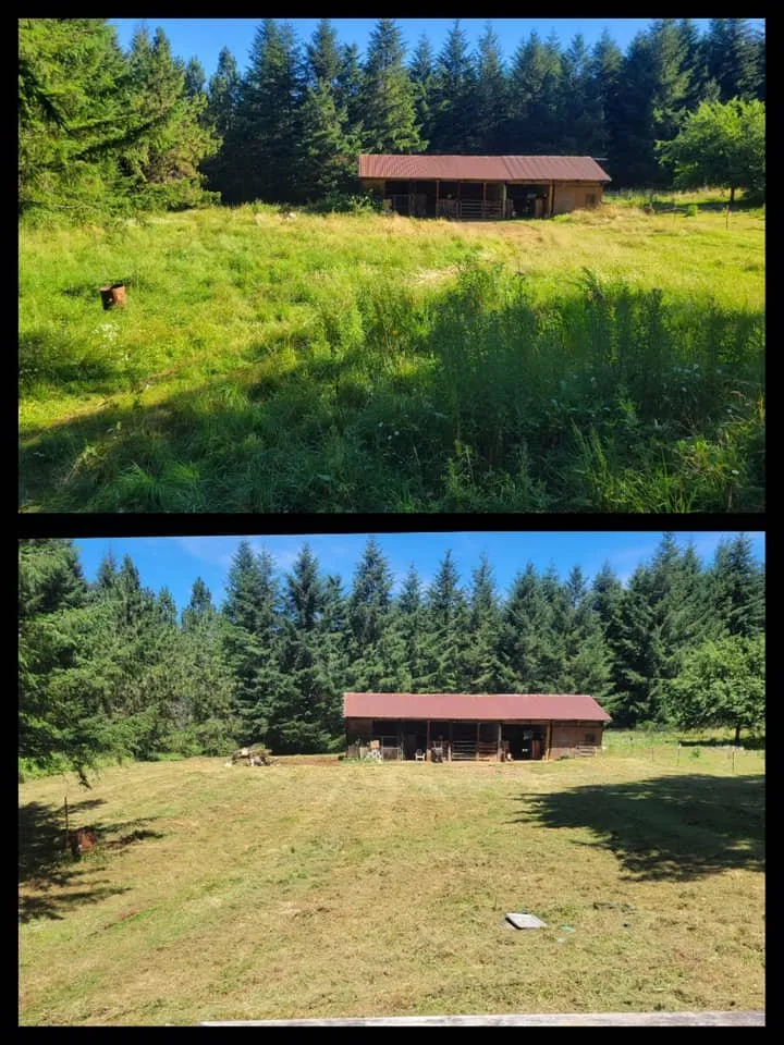 Expert yard cleanup service in Veneta, OR - Hunsaker Services