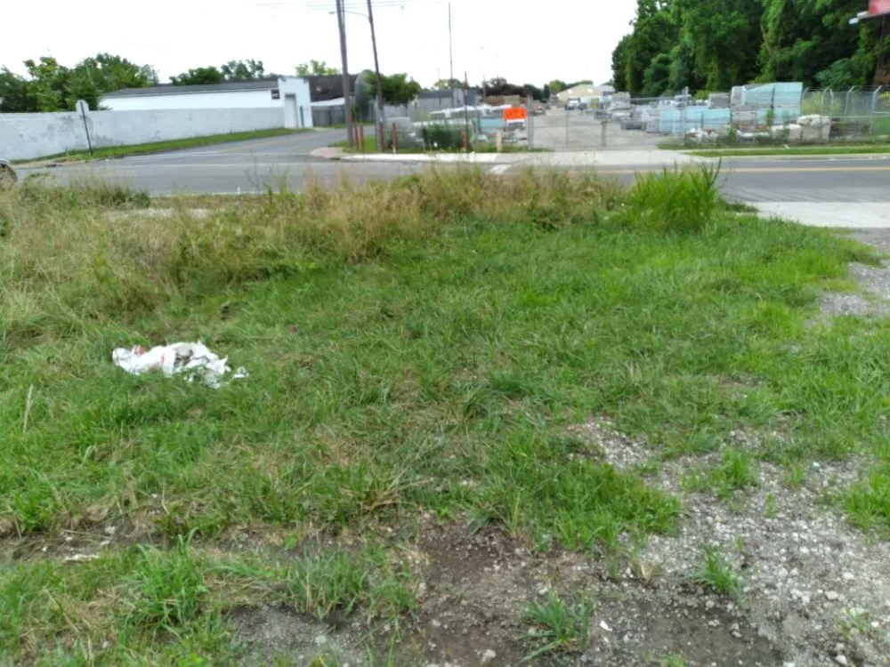 Trusted yard cleanup service in Columbus, OH - Hunt & Son's Lawn Maintenance