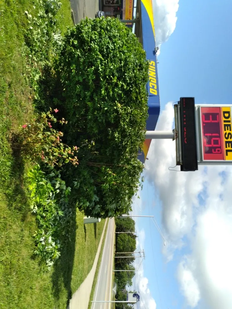 Affordable residential landscaping near you in Columbus, OH by Hunt & Son's Lawn Maintenance