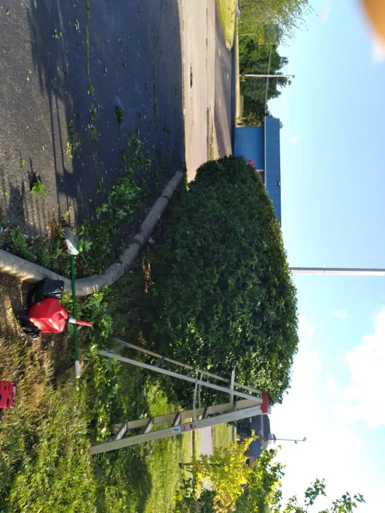 Trusted lawn care service in Columbus, OH by Hunt & Son's Lawn Maintenance