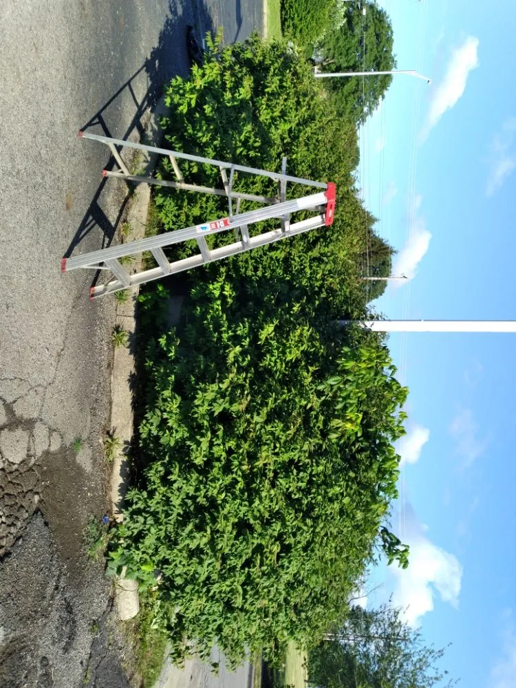 Professional yard cleanup service in Columbus, OH by Hunt & Son's Lawn Maintenance