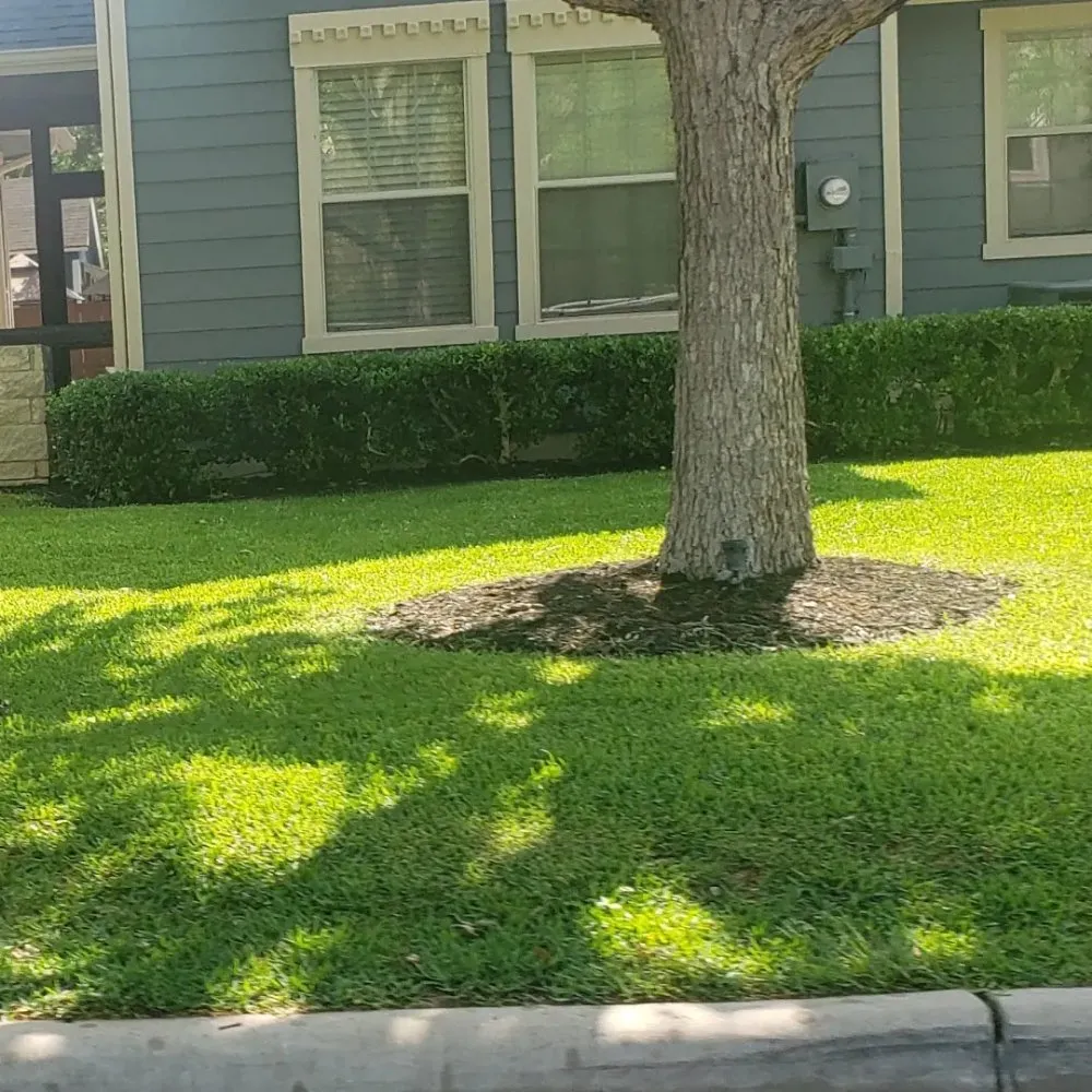 Professional landscape installation with custom design in Killeen, TX by Hunt Landscaping