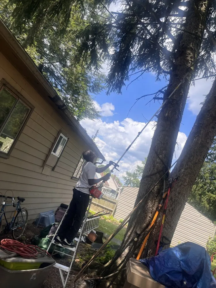 Reliable yard maintenance in Akron, OH by Hunter & Son’s