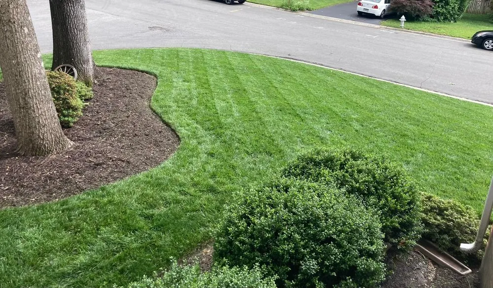 Top-rated yard cleanup service in Richmond, VA by Hunter Green Lawn Solutions