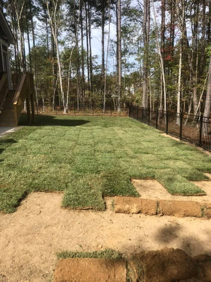 Professional yard maintenance in Richmond, VA by Hunter Green Lawn Solutions