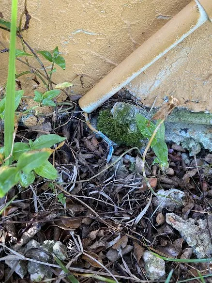 Expert yard maintenance in Palm Coast, FL by Hunter irrigation & Welldrilling