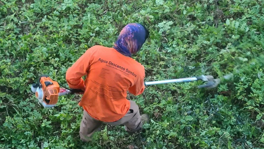 Affordable yard cleanup service in Placentia, CA by Hunter Landscape